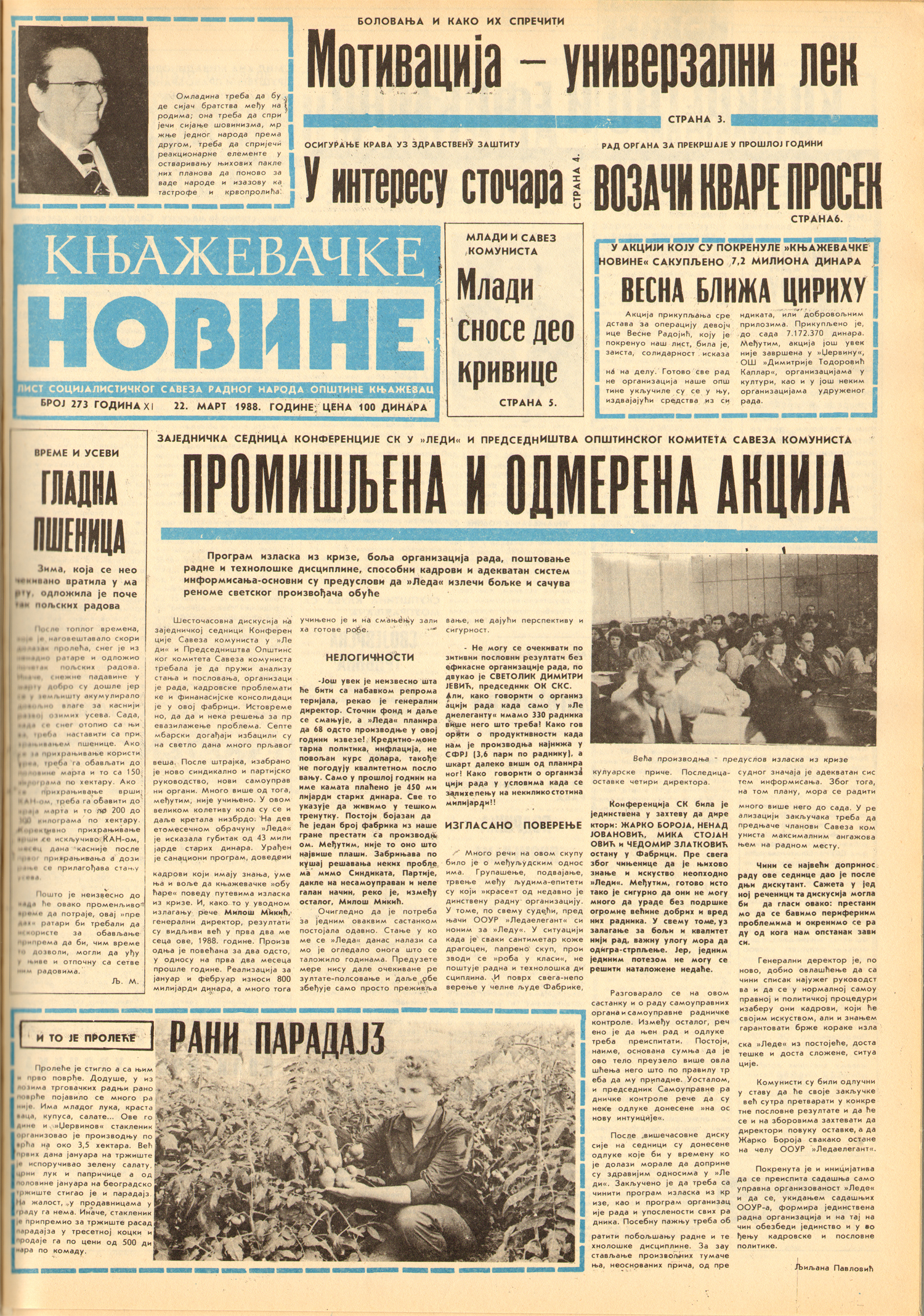 Knjaževačke novine 1