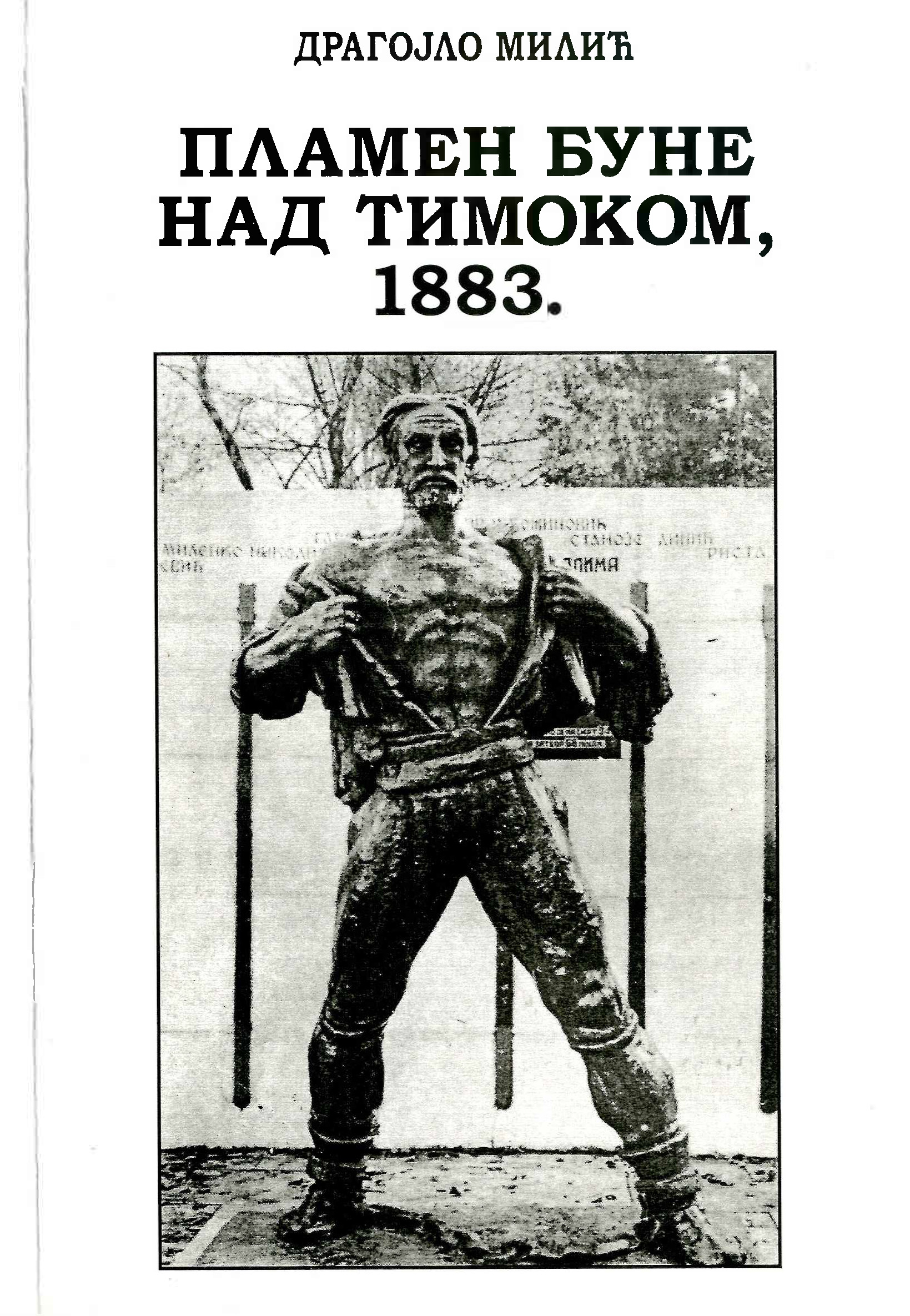 Пламен буне над Тимоком, 1883.